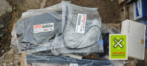 IMG_20230828_102025